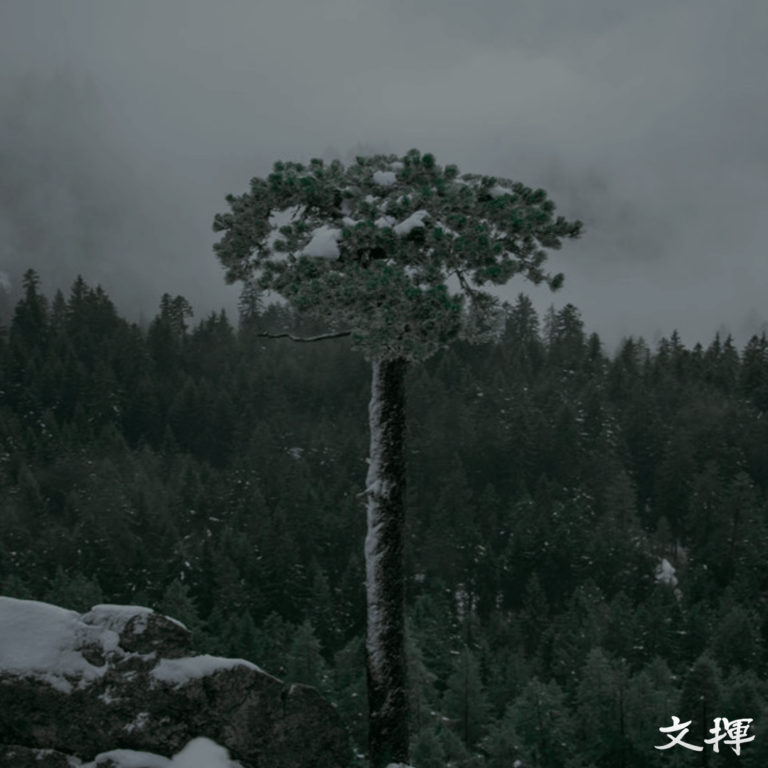 비즈니스 자립력